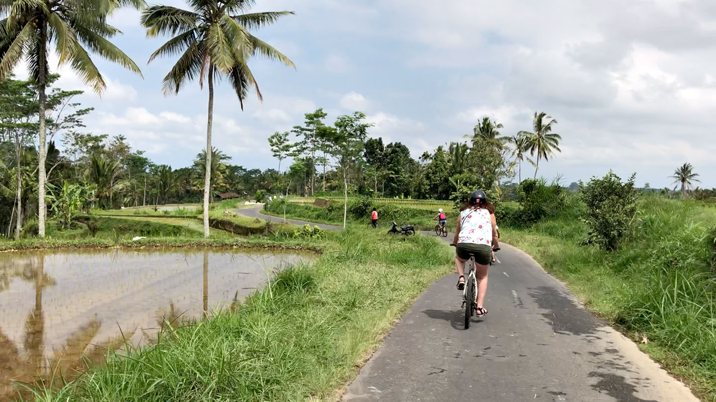 Fietsen door de rijstvelden bij Telanggalang Fietsen door de rijstvelden bij Telanggalang